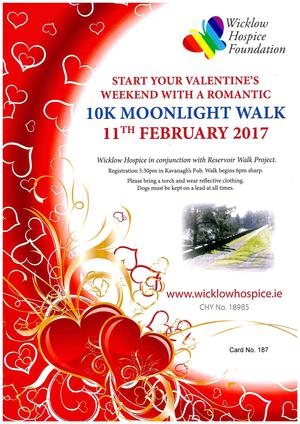 Wicklow Hospice Moonlight Walk