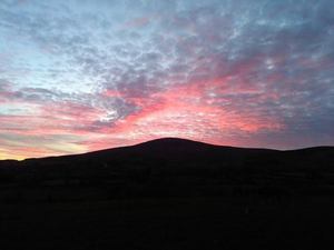 Sunrise New Ross