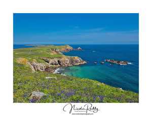 Saltee Islands