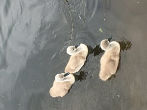 Family Time in Ireland