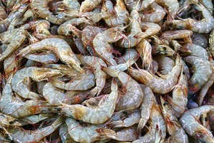 prawns_ireland_bunkering