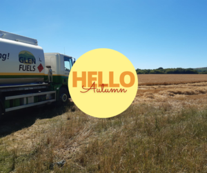 Harvest in Ireland