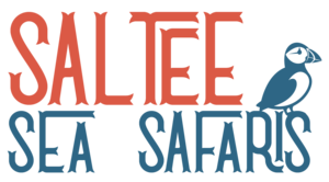 saltee-sea-safaris